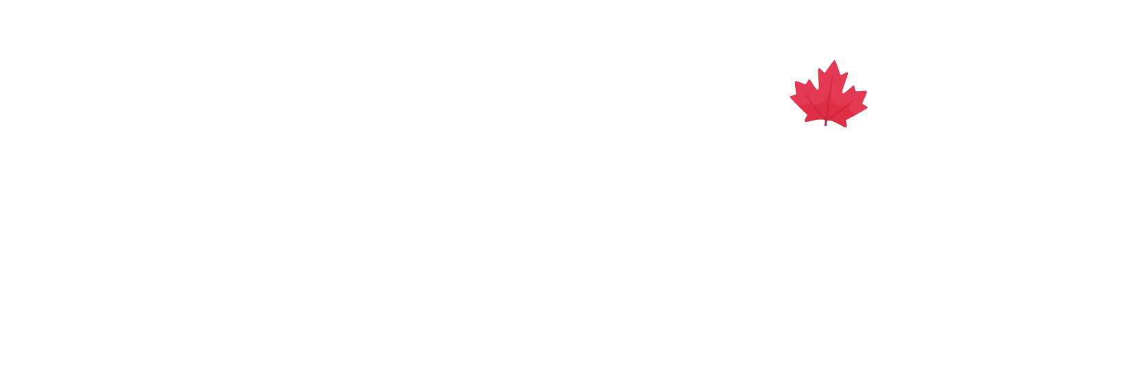 FleetOptics